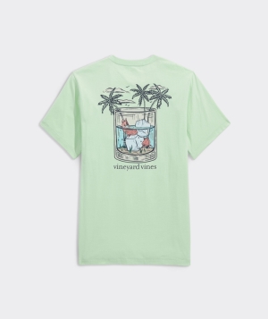 Tees Vineyard Vines Whiskey Glass Fish Corta-Sleeve Tee Hombre Aloe | VCL-572410