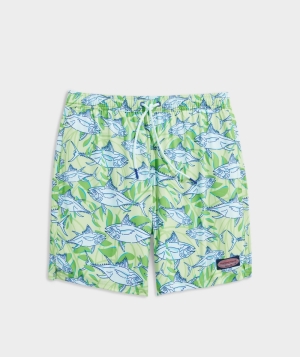 Trajes De Baño Vineyard Vines 7 Inch Printed Chappy Trunks Hombre Azules | JFR-971062